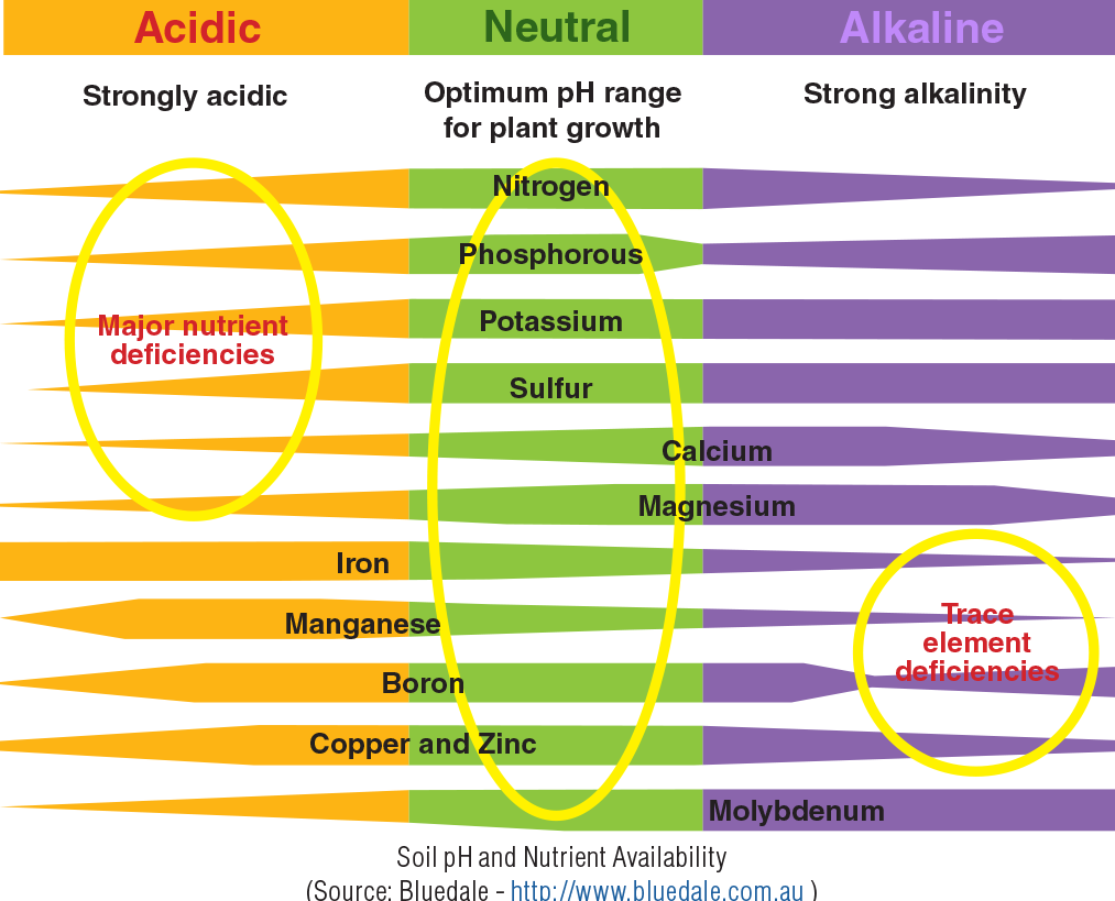 Soil pH and Nutrient Availability Australian Scientific Pty Ltd