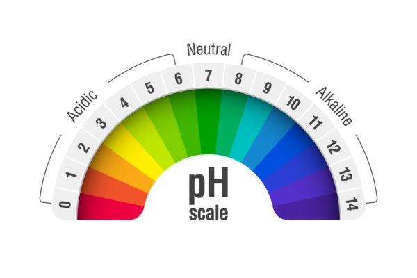 pH graph scale from acidic to alkaline